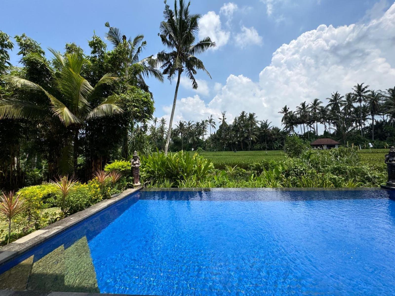 Sunset Pandawa Villa Убуд Экстерьер фото